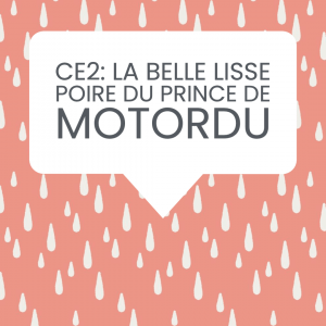 CE2 motordu