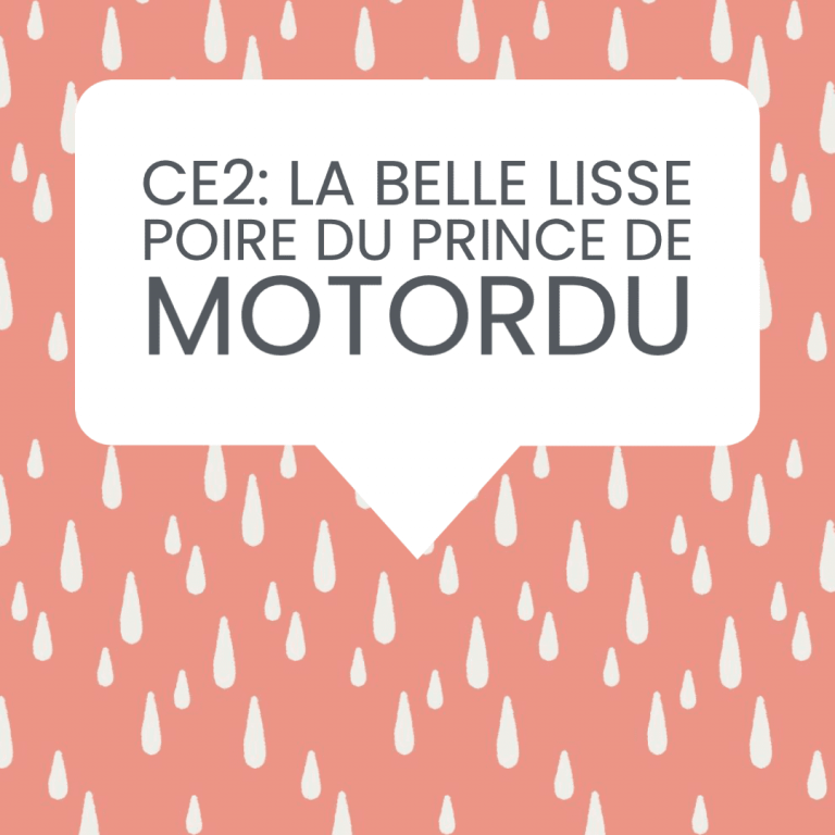 CE2 motordu