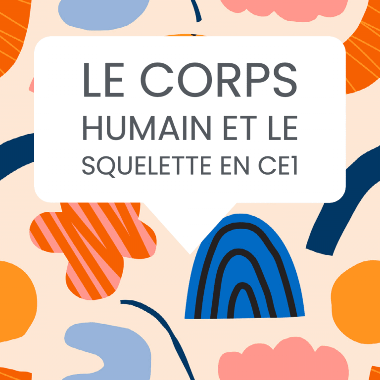 corps humain squelette