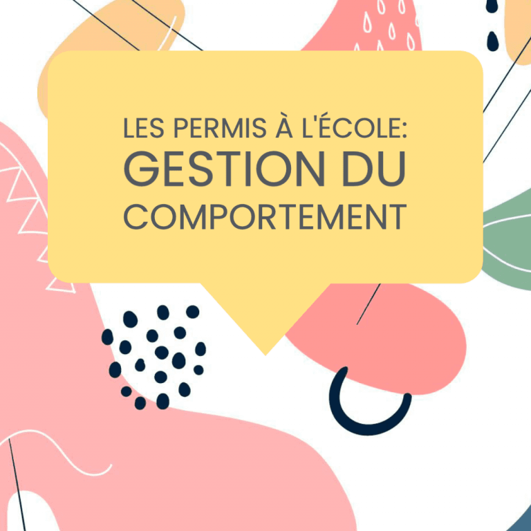 permis école