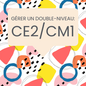 gérer double niveau CE2 CM1