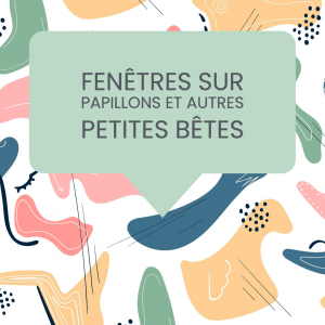 fenêtres sur papillons et autres petites bêtes