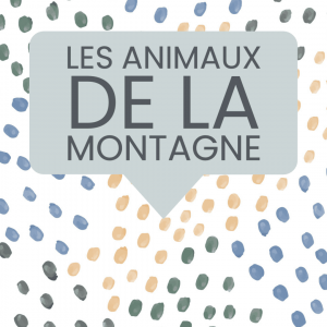 animaux montagne