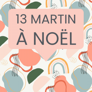 13 Martin à noël
