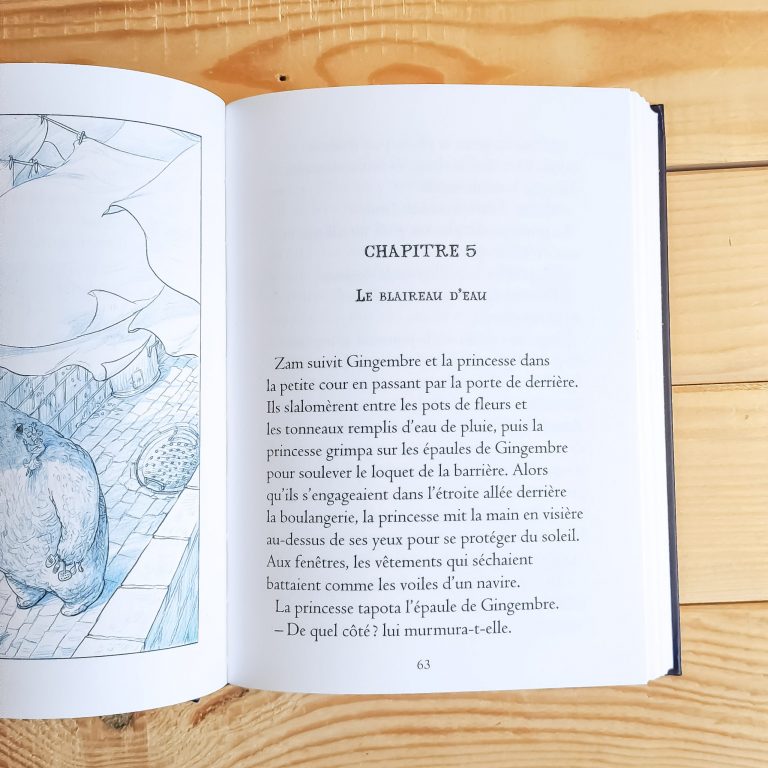 Chroniques perchées