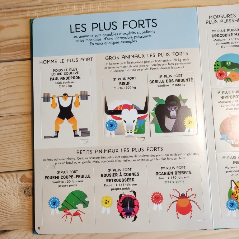 Records du monde étonnants