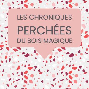 chronique perchées bois magique
