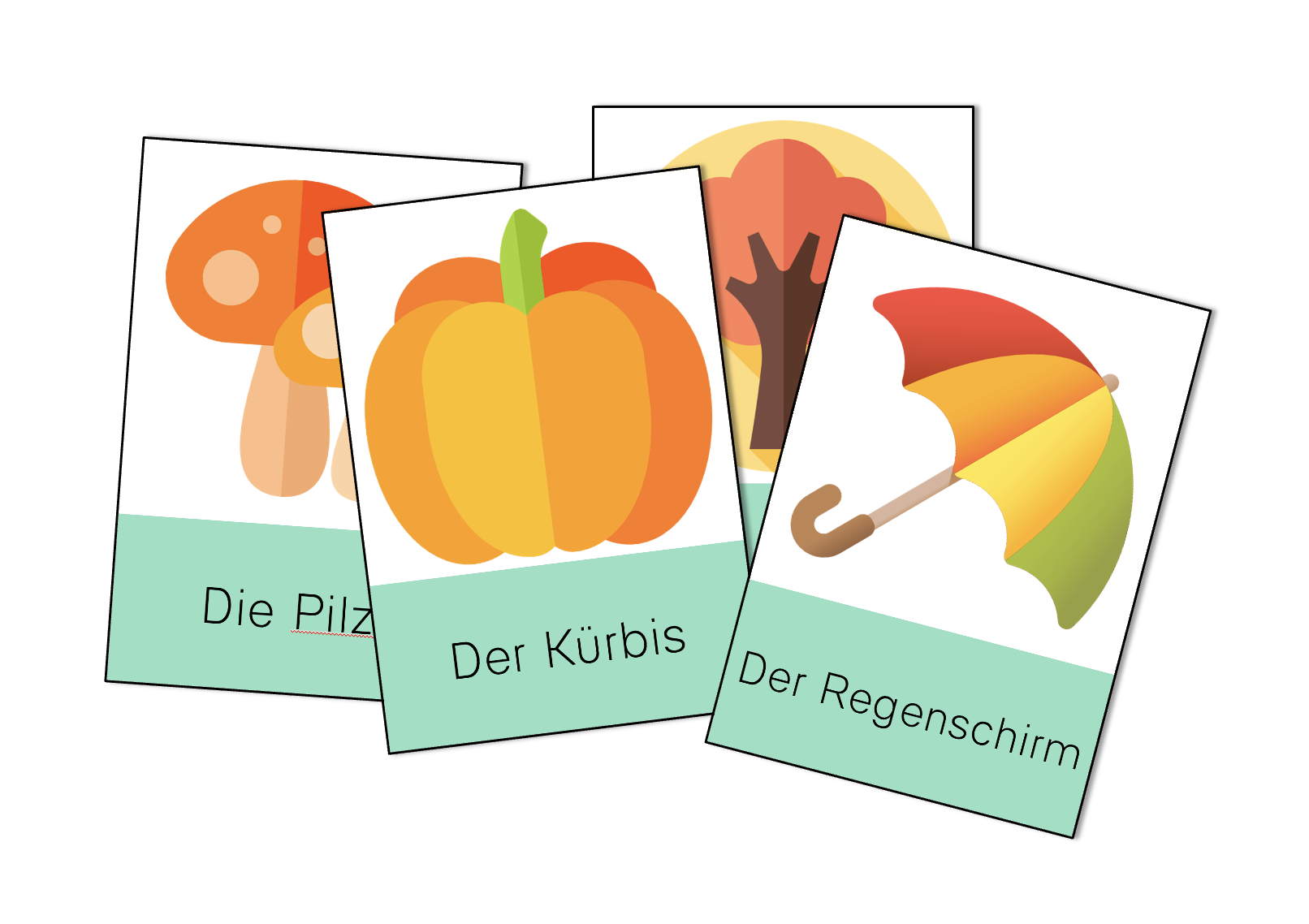 Flash cards allemand