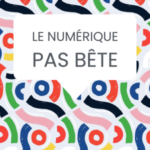 numérique pas bête