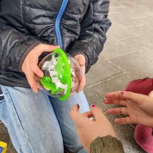 Perplexus