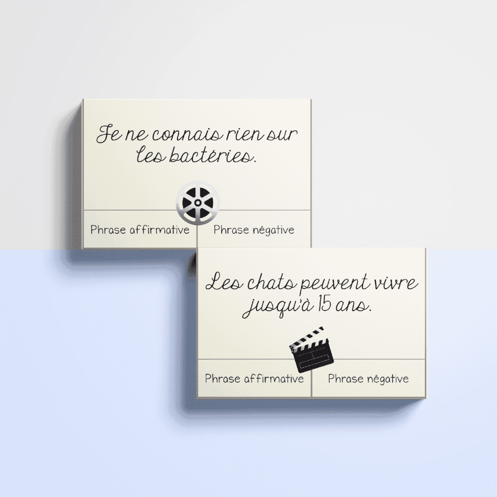 Le négative festival - Français – Image 2