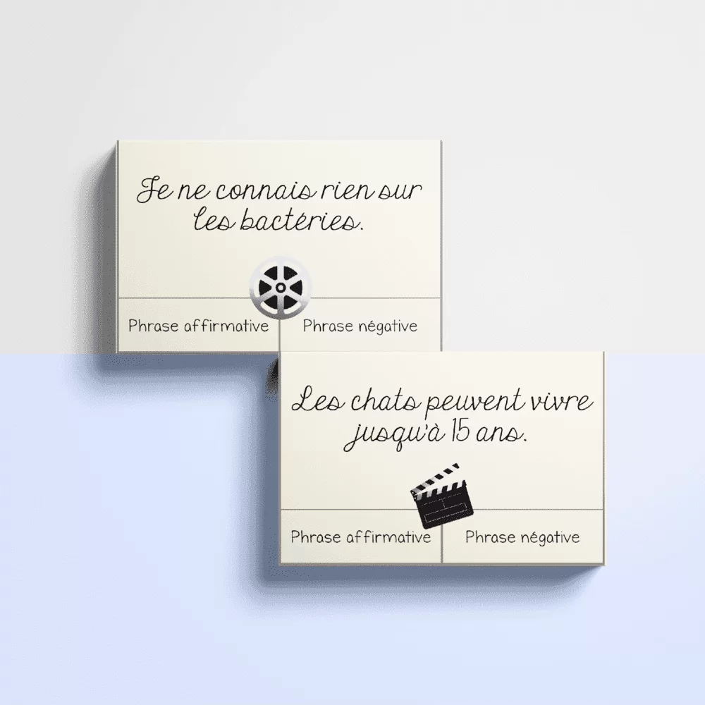 Le négative festival - Français – Image 2