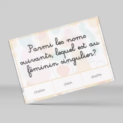 Accord des noms